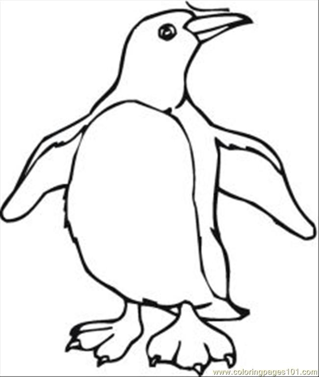 Coloring Pages Penguin Coloring Pages 6 Med (Birds > Penguin ...