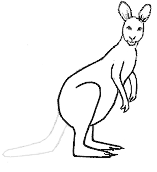 Kangaroo Footprints - Kids4Kangaroos