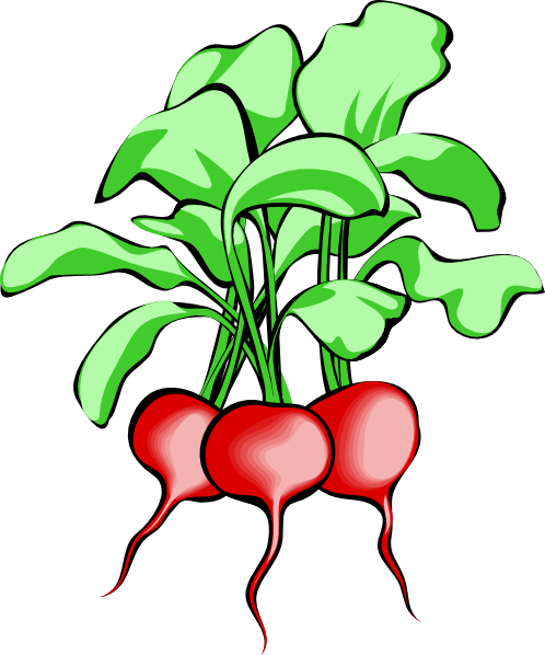 vegetable-garden-clip-art-361 | Home Design Ideas