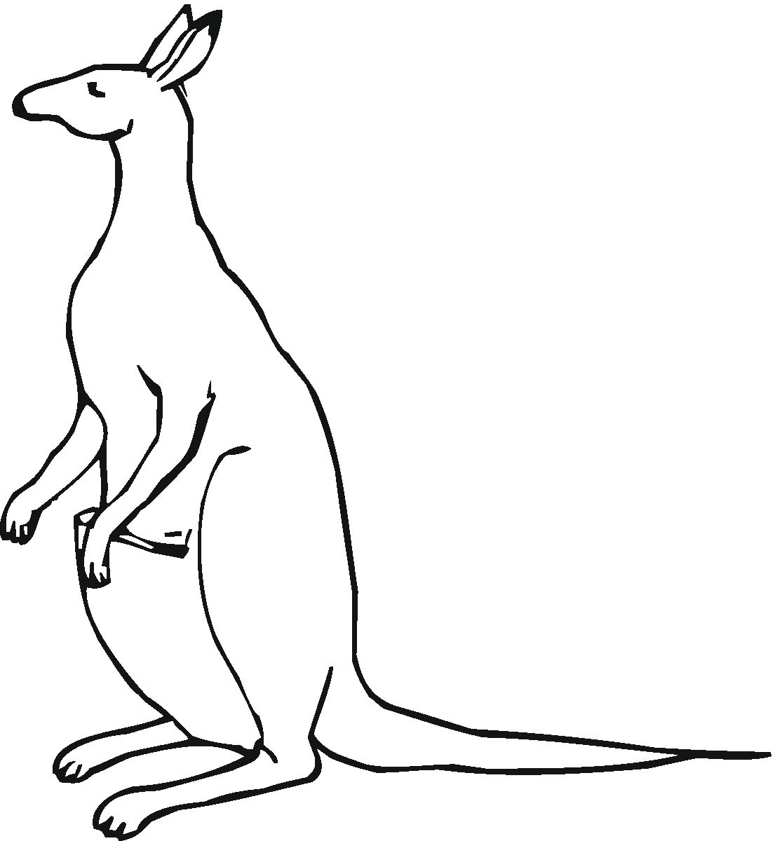 simple Kangaroo Coloring Pages for Kids | Great Coloring Pages