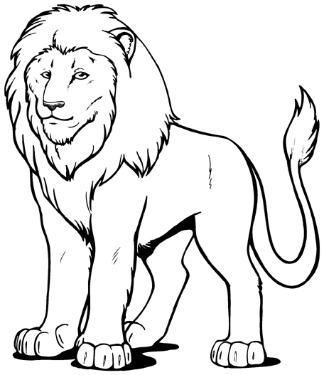 Lion Line Drawing - ClipArt Best