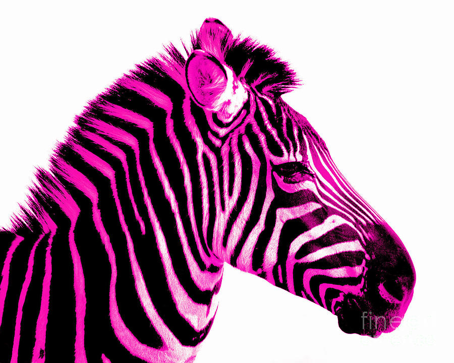 Pictures Of Pink Zebra Print
