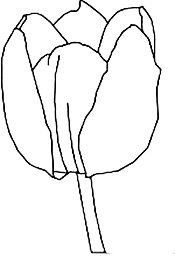 ar snowdrops Colouring Pages (page 3)