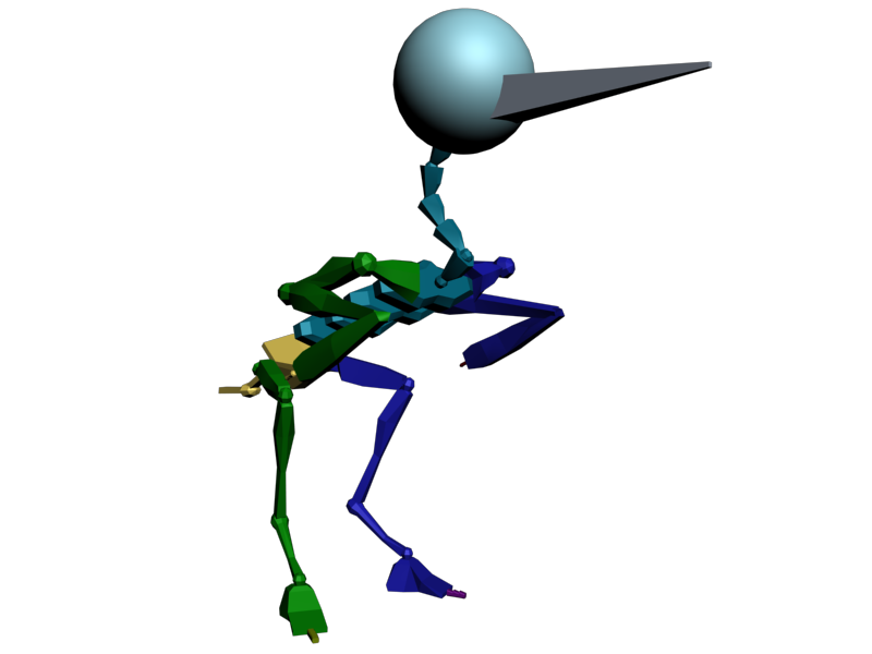 Bird skeleton research | Tom's Blog