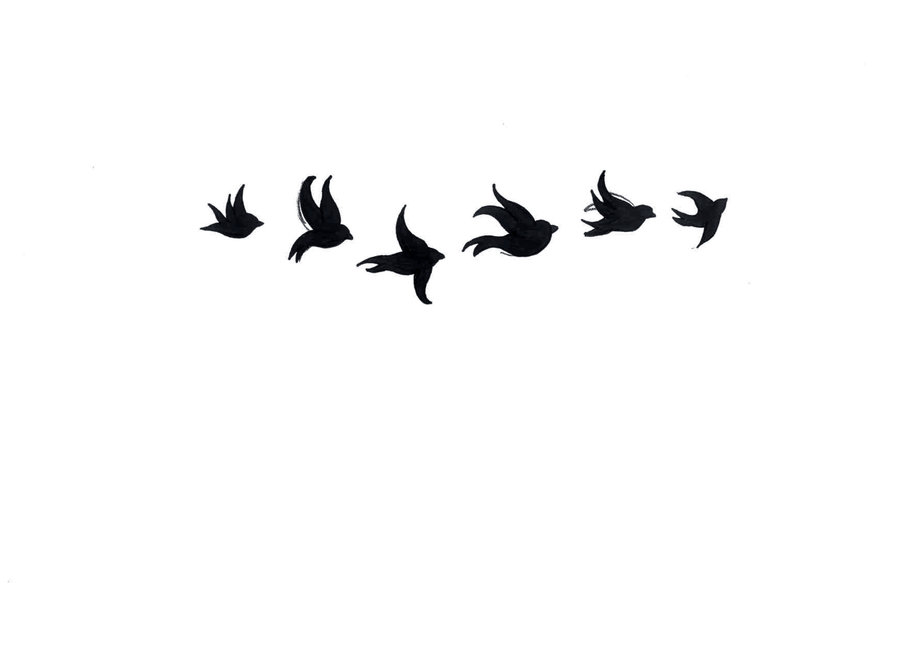 Birds Flying Black And White Images & Pictures - Becuo