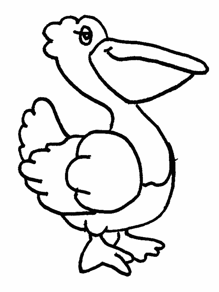 Pelican coloring page - Animals Town - animals color sheet ...