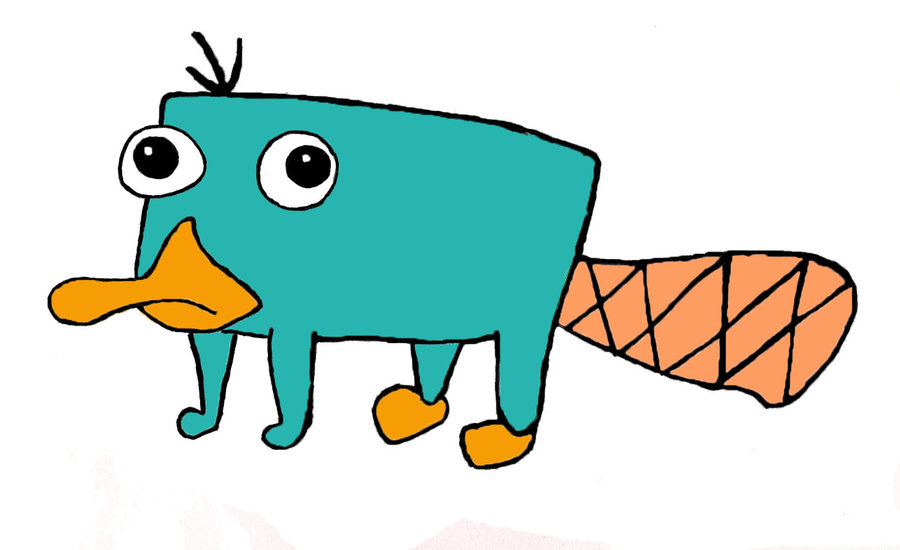 Perry the Platypus | mkalty