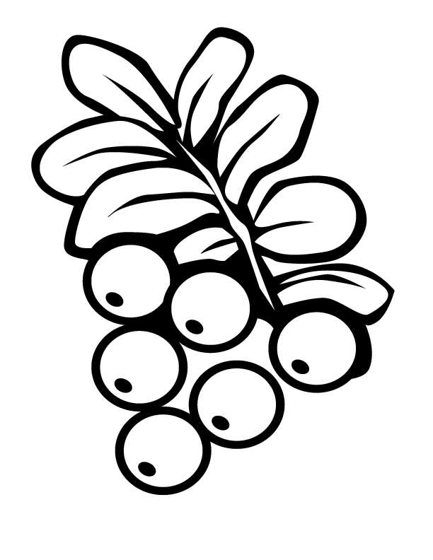 Grapes Colouring Pages