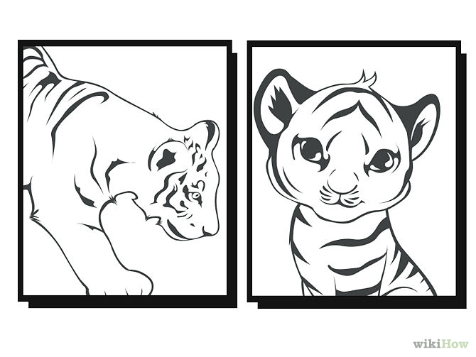 How to Draw a Baby Tiger: 7 Steps (with Pictures) - wikiHow