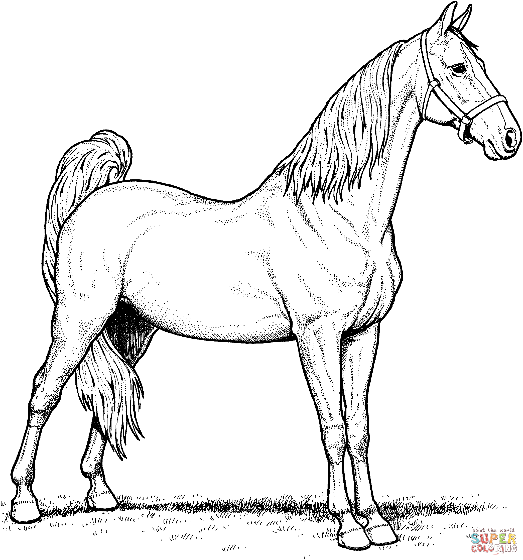 American Saddlebred Mare Horse Coloring page | Free Printable ...