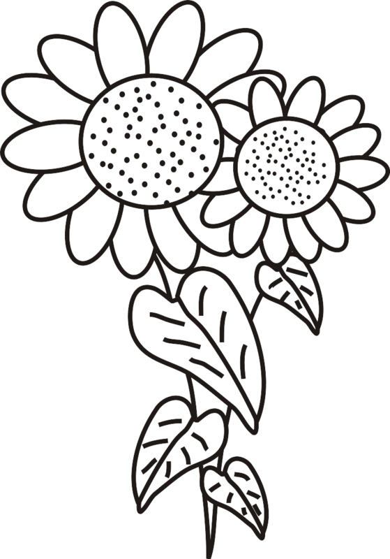Two Sunflowers With Leaves Coloring Page | Greatest Coloring Book