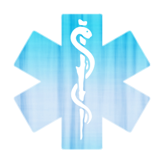 Medical Alert Symbol Icon #091111 » Icons Etc