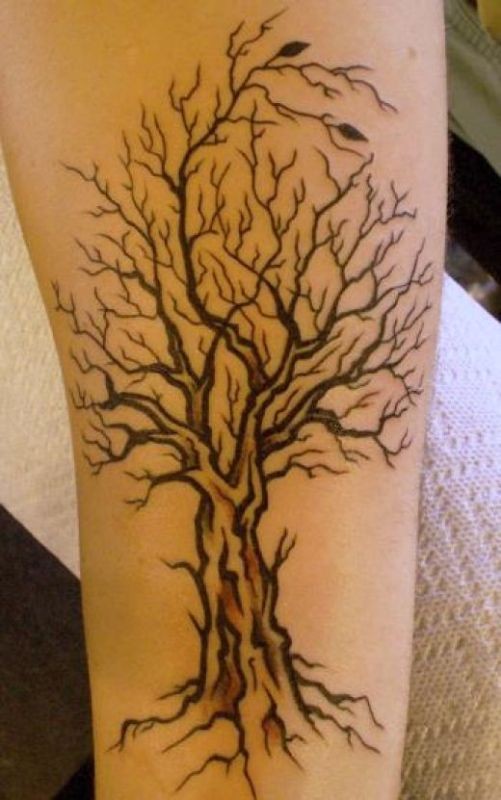 Black tree tattoo on arm - Tattooimages.biz