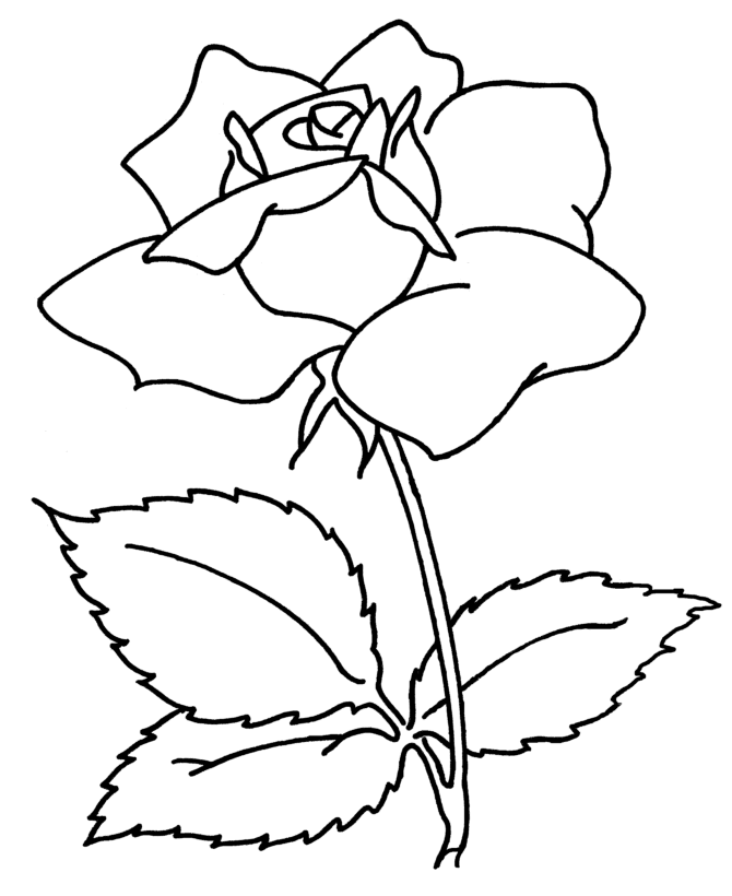 download flower drawing easy