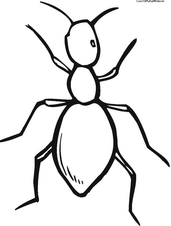 ants coloring book for kids | Free Coloring Pages For Kids