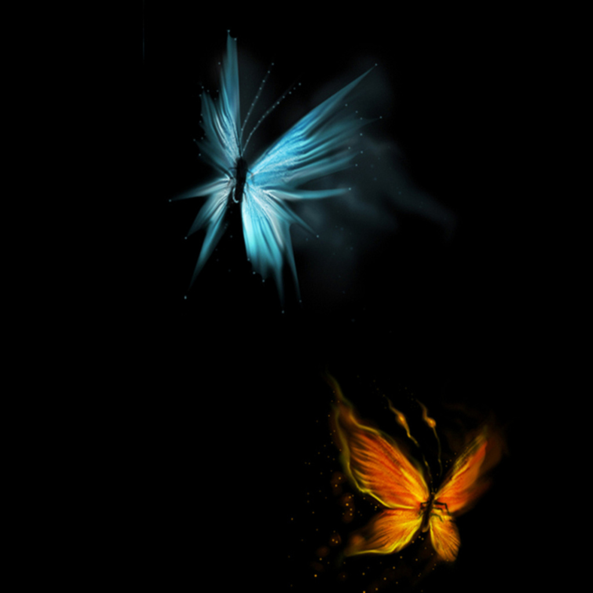 butterfly iPad Wallpapers | iPhone Wallpapers, iPad wallpapers One ...