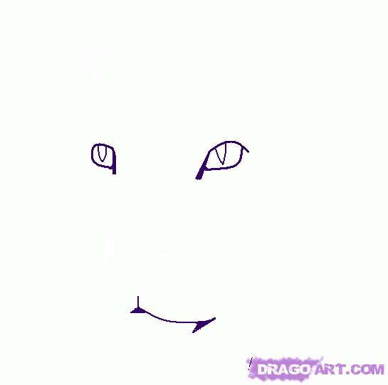 How to Draw a Lion Head, Step by Step, safari animals, Animals ...