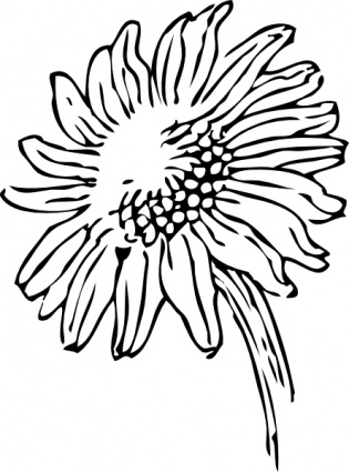 Sunflower Seed Clipart | Clipart Panda - Free Clipart Images