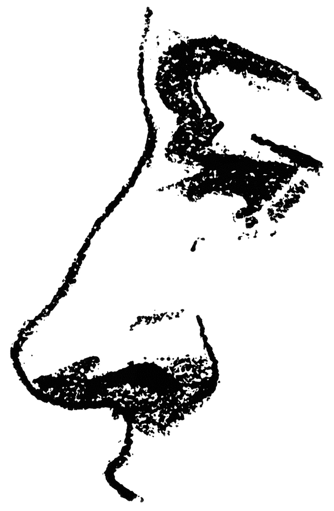 Nose Clipart Black And White