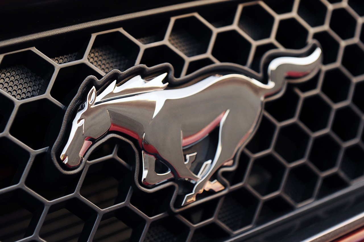 Ford to build 2014 ½ Mustang for 50th anniversary? | Mustangs Daily