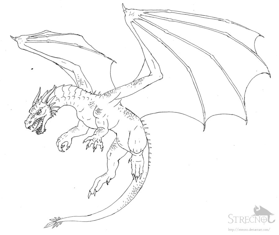 DeviantArt: More Like flying Dragon by Strecno