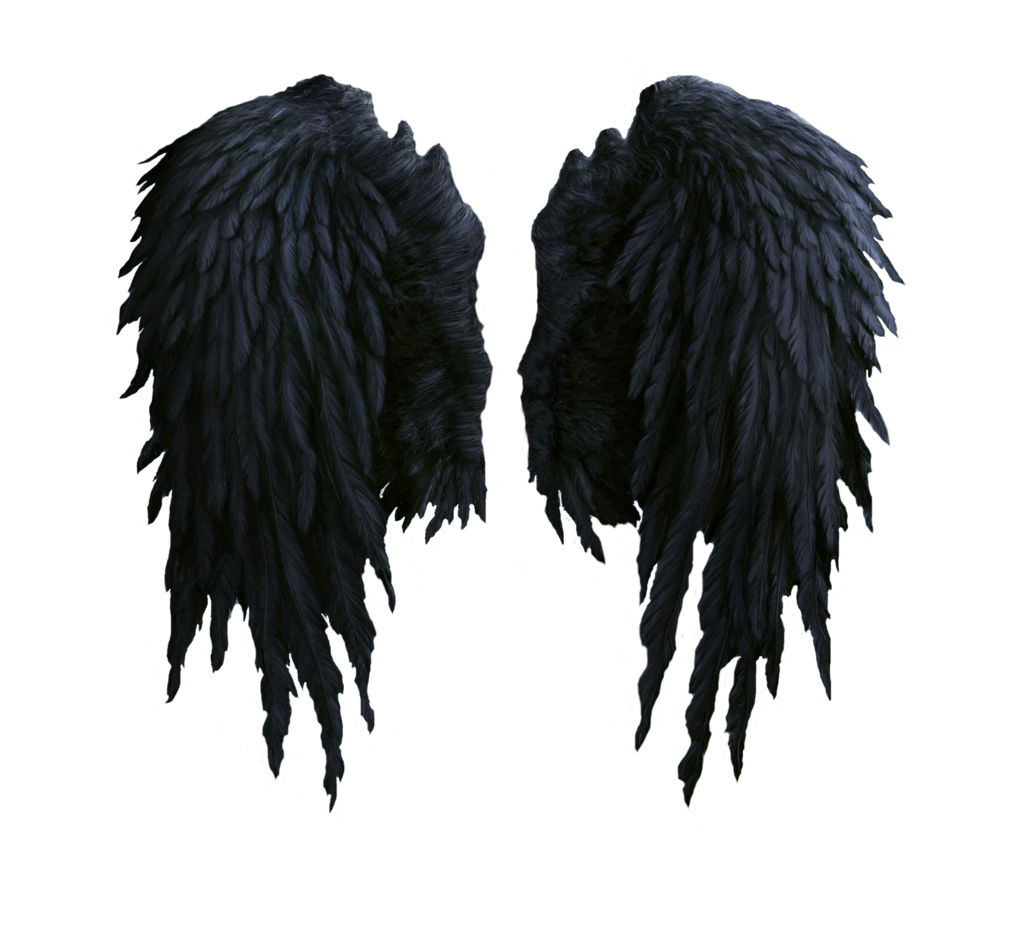 black angel wings stock PNG by Shadow-of-Nemo on DeviantArt