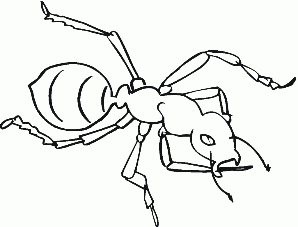 Ant Coloring Pages For Kids | Free coloring pages for kids