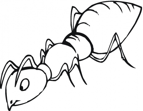 Ants Colouring : An Army Of Ants. Is For Ant Coloring Page Png ...