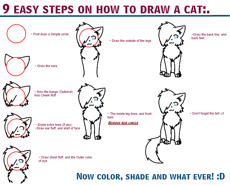 How To Draw A Cat:. by StarburstTiger on DeviantArt