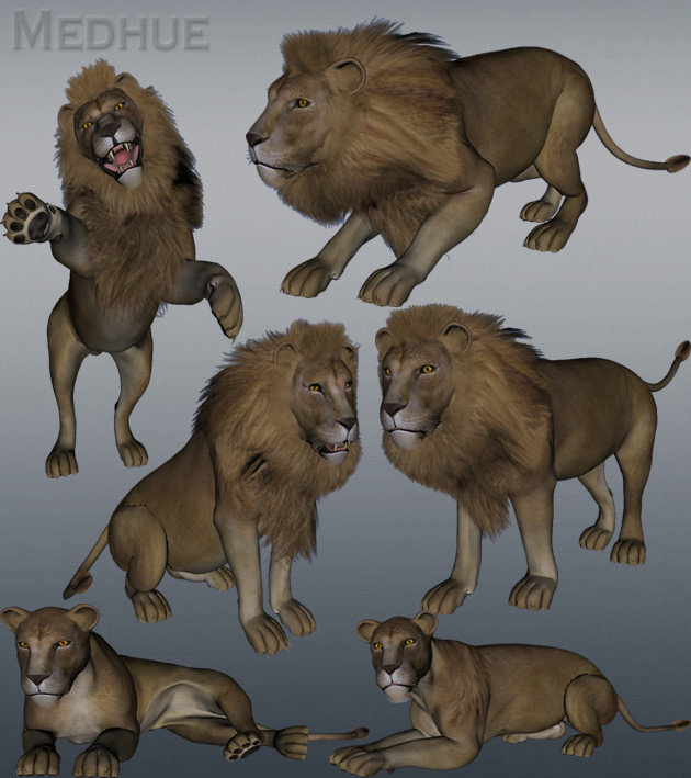 Mill Big Cat Lion Animation Set | Medhue Animations