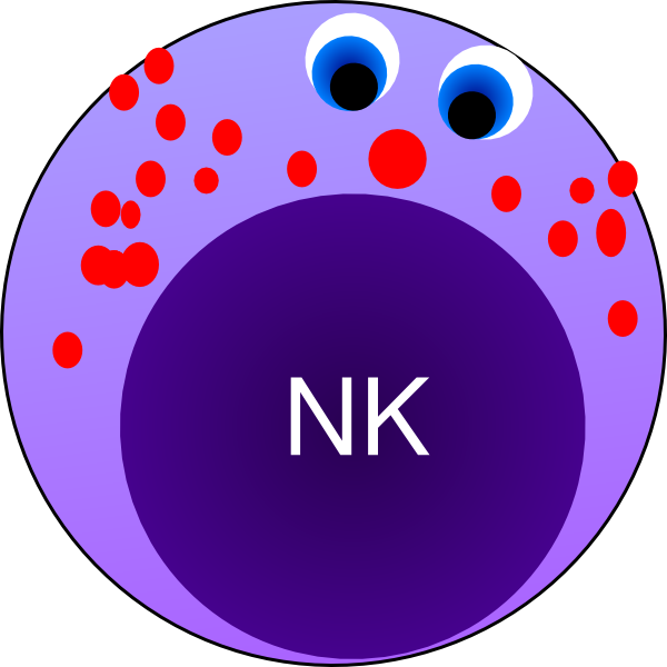 Nk Cell clip art - vector clip art online, royalty free & public ...