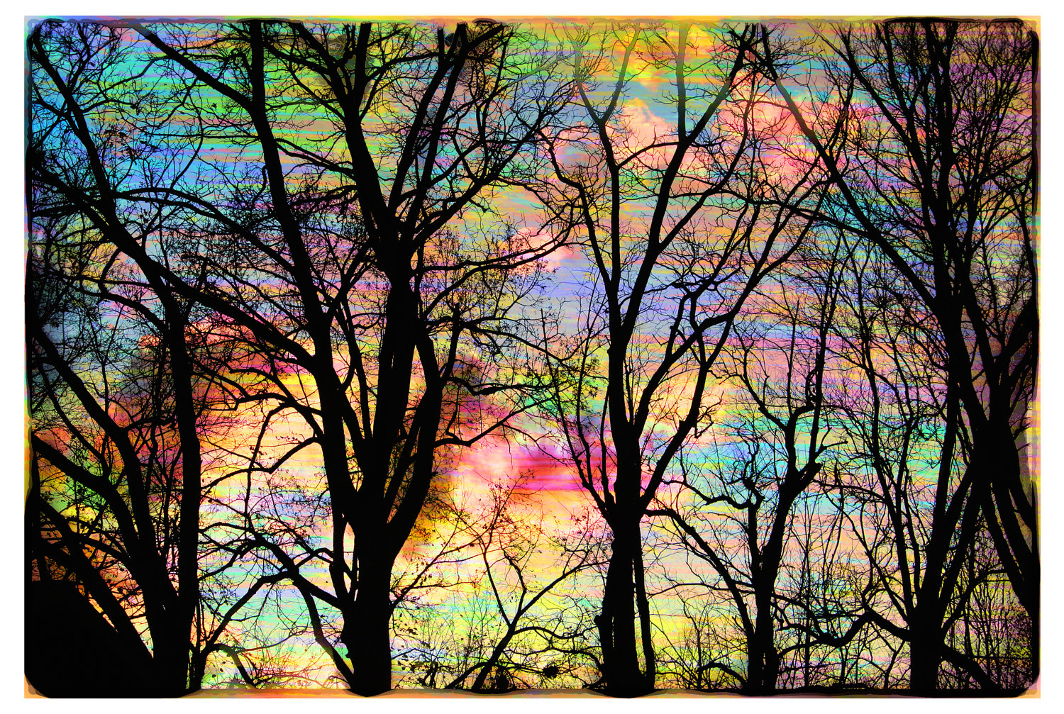 Trees11x17 Cotton candy sky Michigan Art by dahliahousestudios