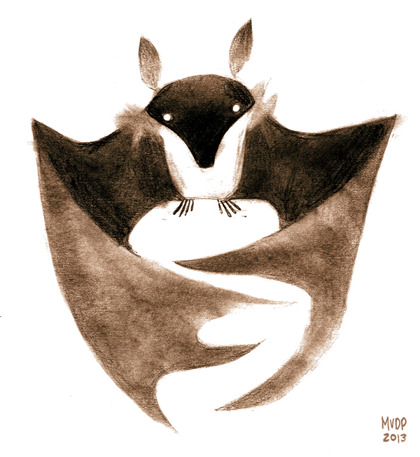 Fruit bat sketch by sketchinthoughts on DeviantArt