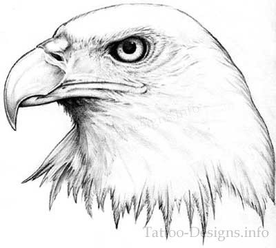 Black and White American Bald Eagle Head Tattoo Sketch | Pin It ...