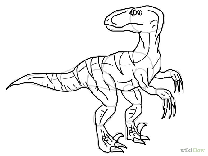 5 Ways to Draw Dinosaurs - wikiHow