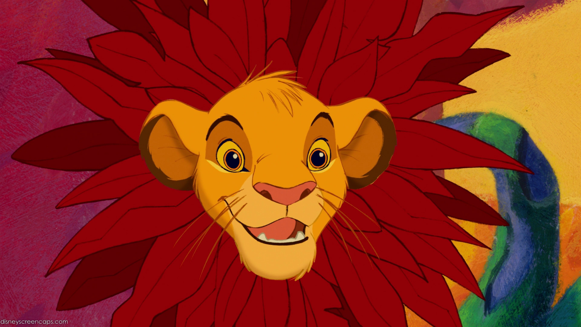 Lion King Young Simba Cliparts co