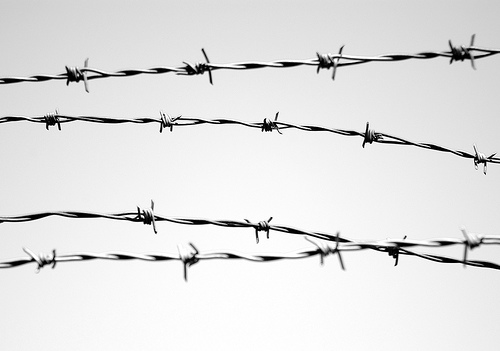 barb wire | Flickr - Photo Sharing!