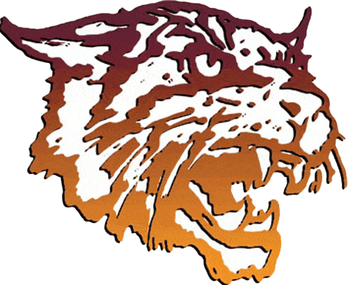 Bethune-Cookman Wildcats Primary Logo - NCAA Division I (a-c ...