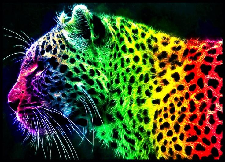 colorful rainbow tiger graphic design art picture | ☯‿☯ LIGHT ...