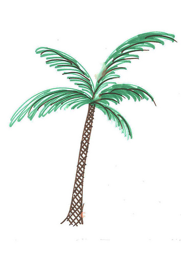 Palm Tree sketch by Brittany | Flickr - Photo Sharing!
