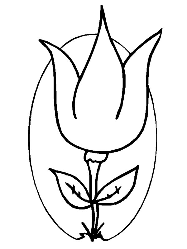 Cartoon Tulip Coloring Pages Picture 25   Beautiful Flower ...
