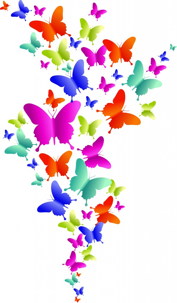 Echinacea Butterfly™ 'Orange Skipper' PPAF | Plants Nouveau