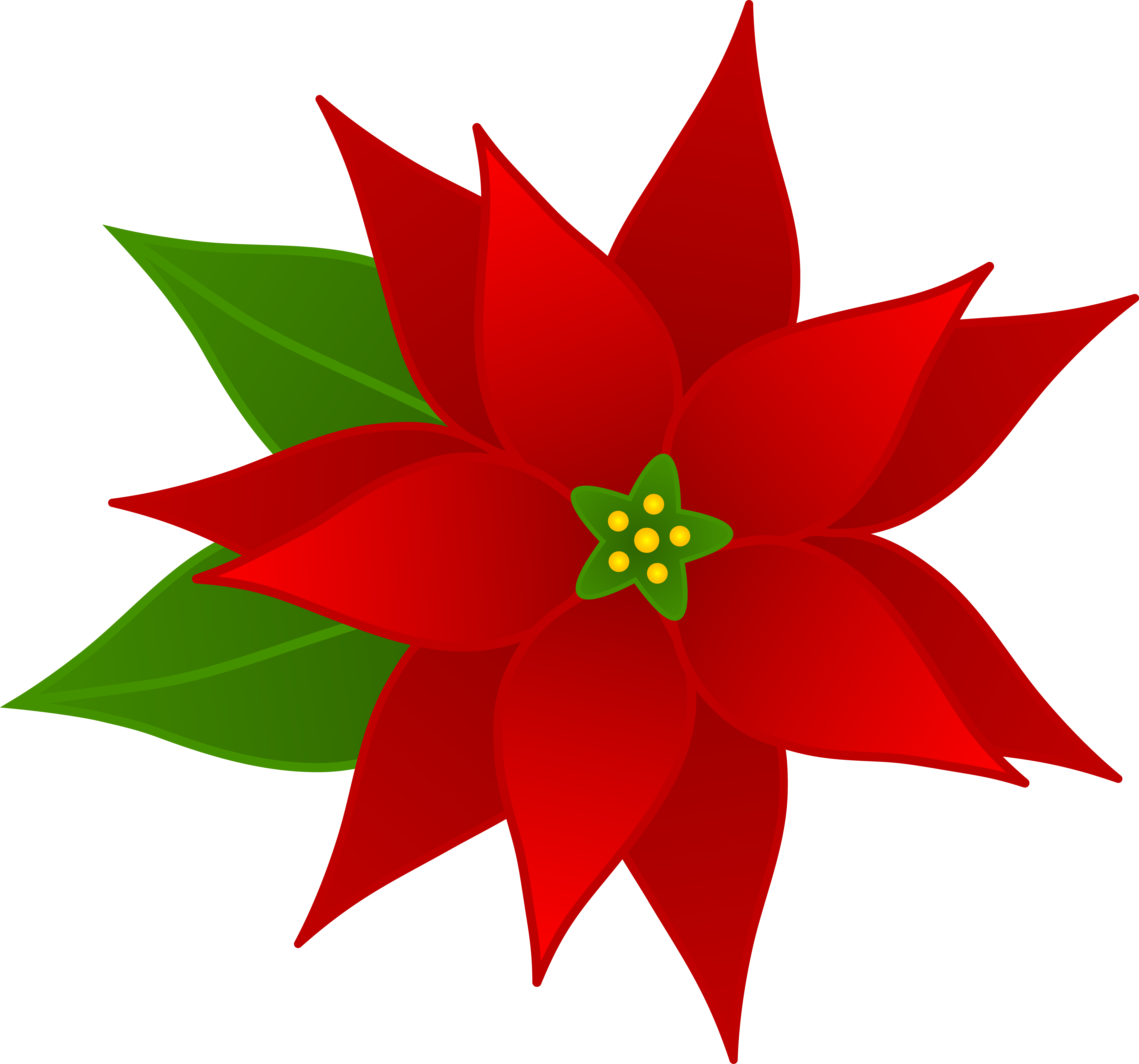 Poinsettia Pictures Free - Cliparts.co