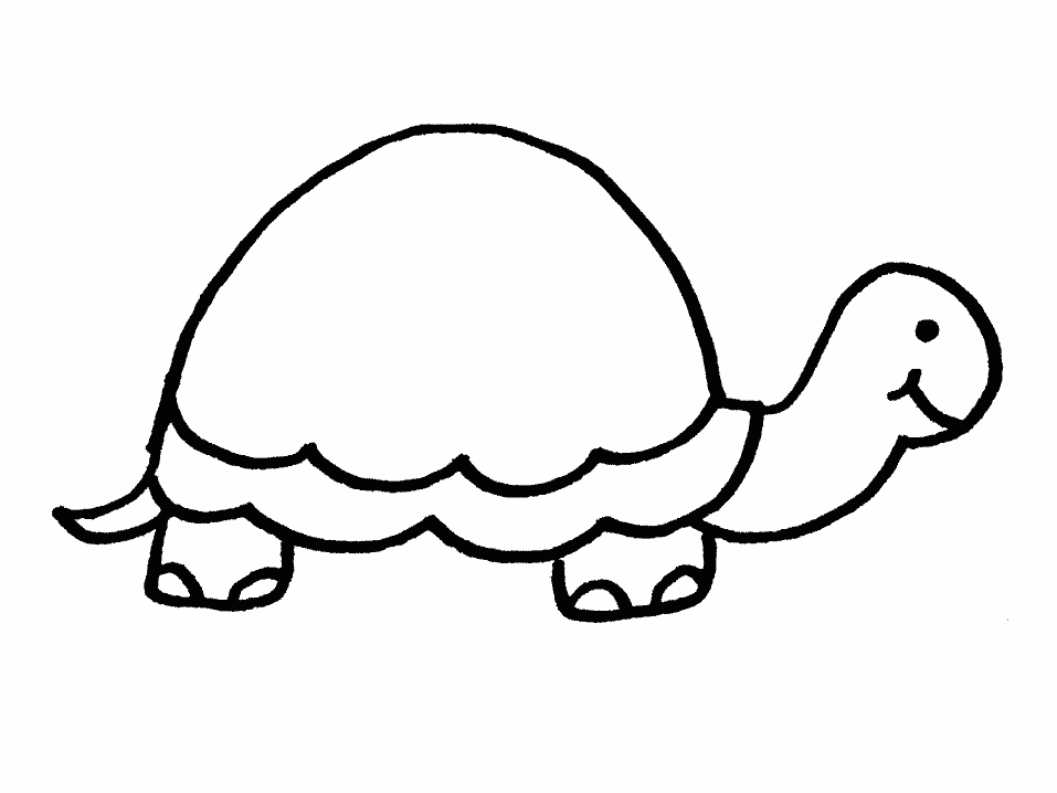 Draw Clipart Black & White Turtle