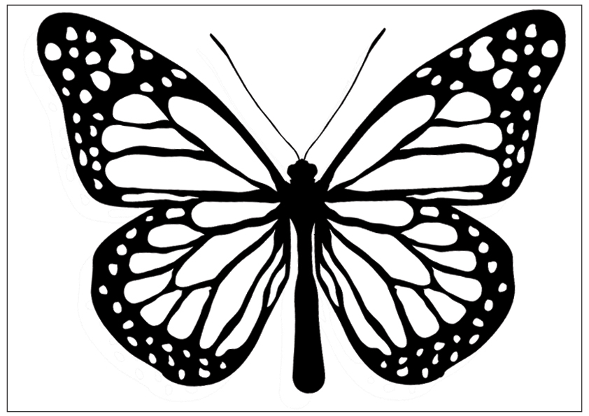 black-and-white-butterfly- ...