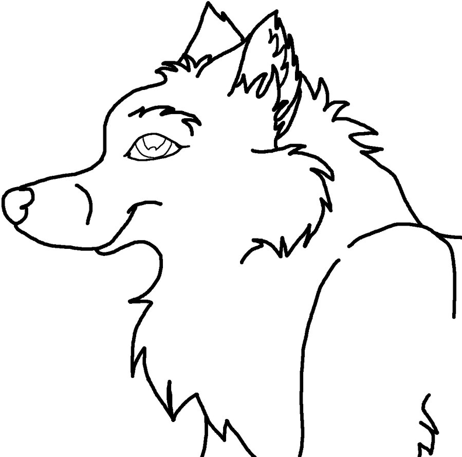 Images For > Wolf Drawing Outline
