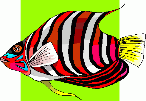 Angel Fish Clip Art Images & Pictures - Becuo