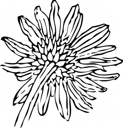 Sunflower Clip Art Black And White Free