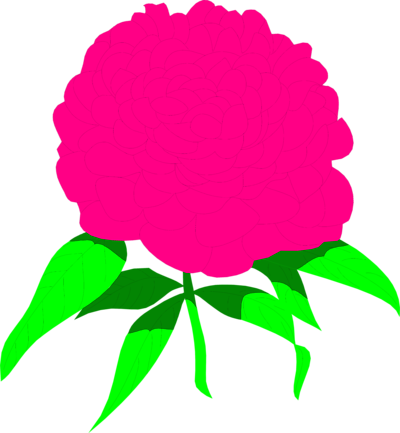 Peony Clipart - ClipArt Best