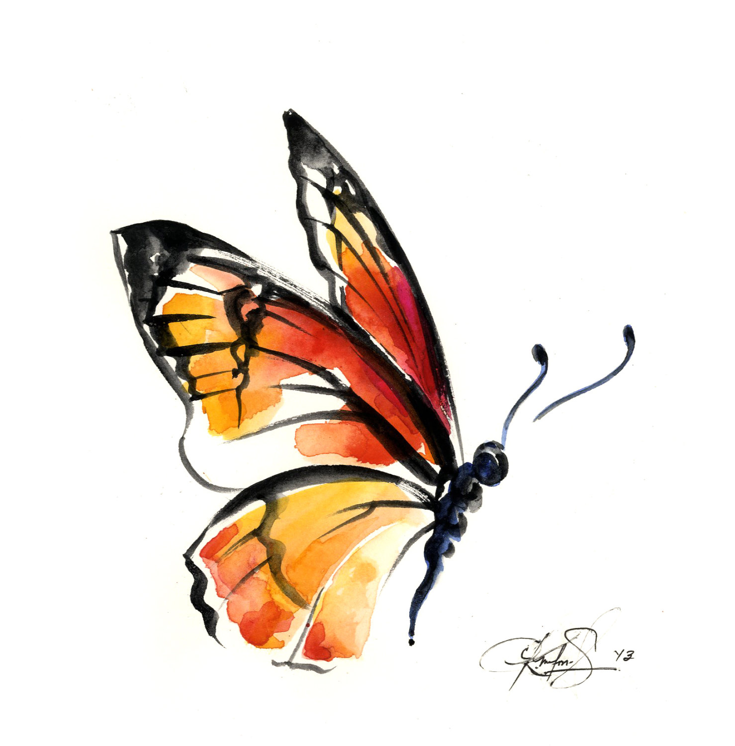 watercolor monarch butterfly | Photoshop: Clipart | Pinterest